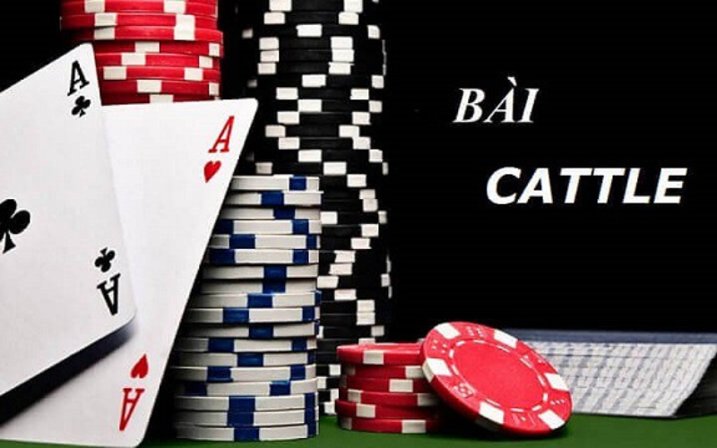 cách chơi bài cát tê