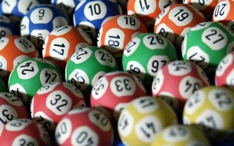 dàn đề nuôi 2 ngày