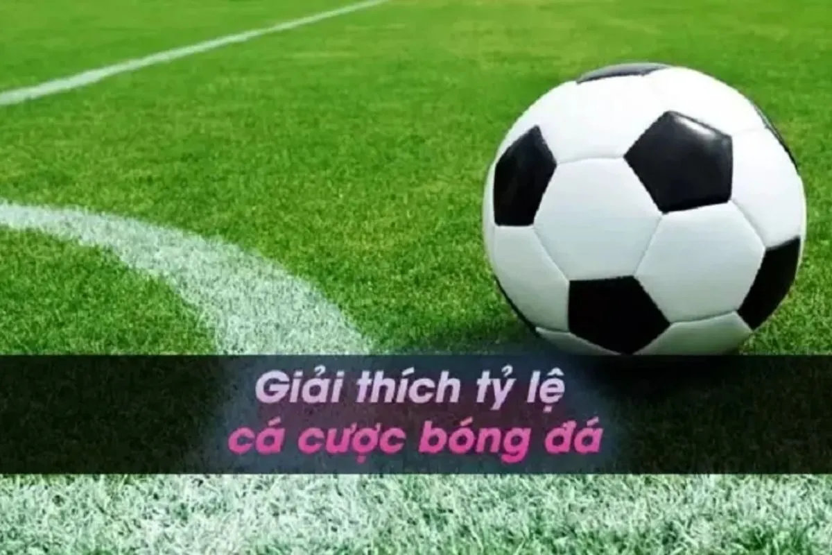 giải thích luật chơi bộ môn cá cược bóng đá