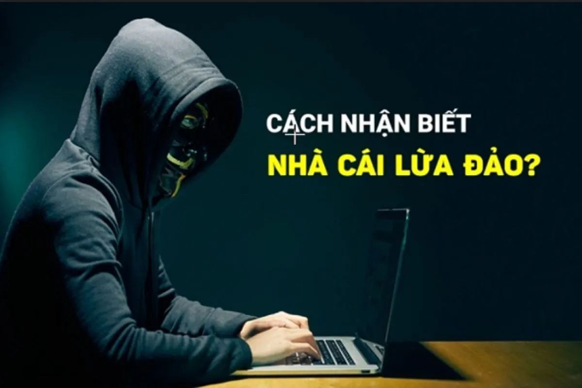 nhà cái online có giống nhà cái ngoài đời không
